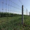 A line of fixed knot deer fence in the farm