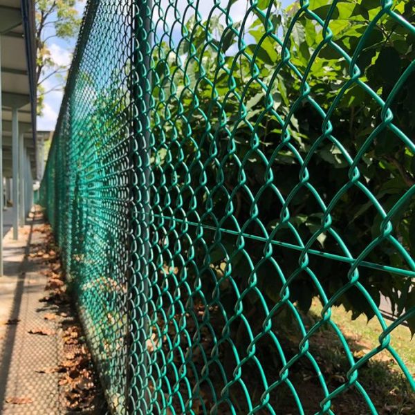 Green chain link fence is placed along the park