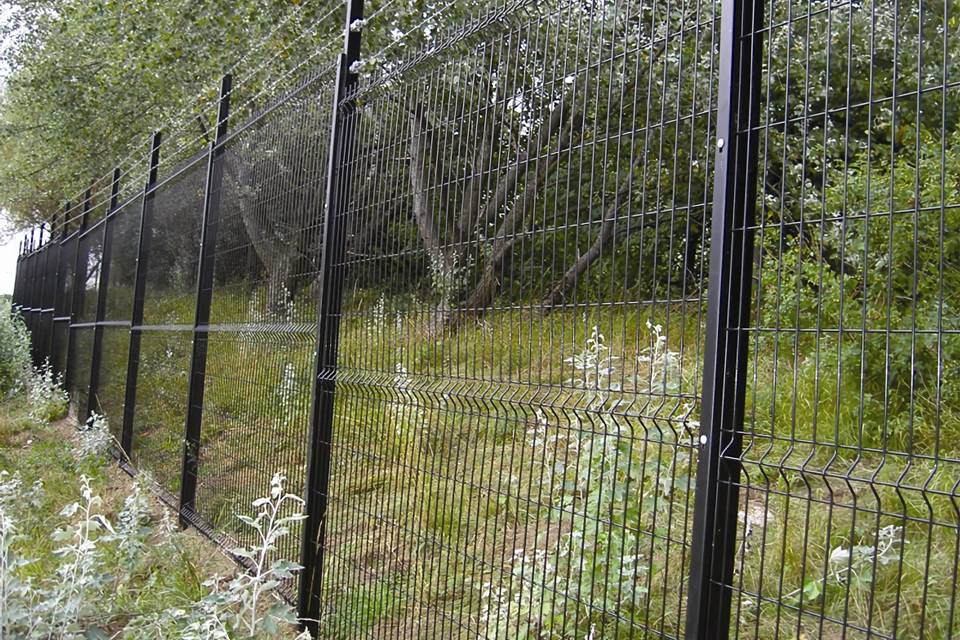 curvy-welded-agricultural-fence-fruit-trees